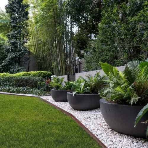 Landscape Design Lilyfield