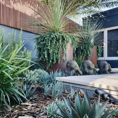 Landscape Design Neutral Bay