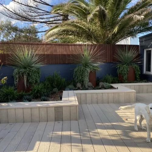 Landscape Design Pyrmont Sydney