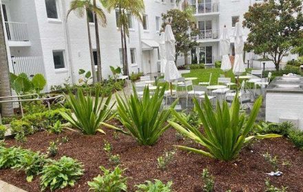 Hotel Garden Design Sydney