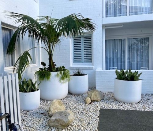 Designer garden pots Sydney