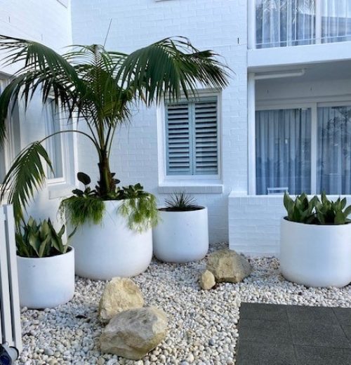 Designer garden pots Sydney