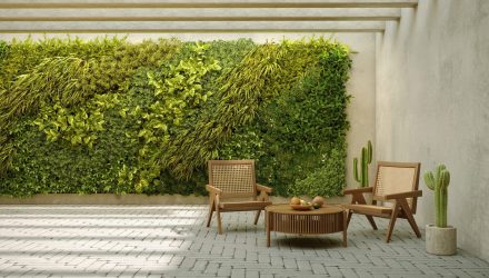 courtyard vertical garden green wall