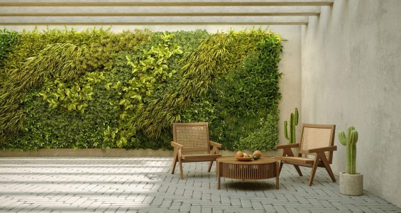 courtyard vertical garden green wall