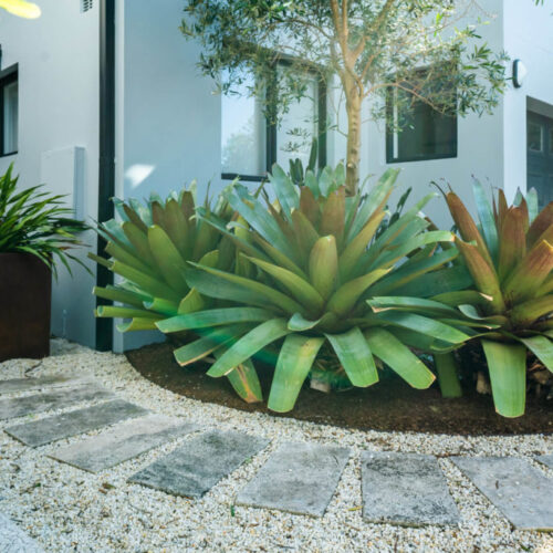 Landscape Design Cremorne