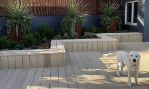 Best garden design Sydney |Dover Heights deck design Sydney. Vogue and Vine landscape design Sydney NSW