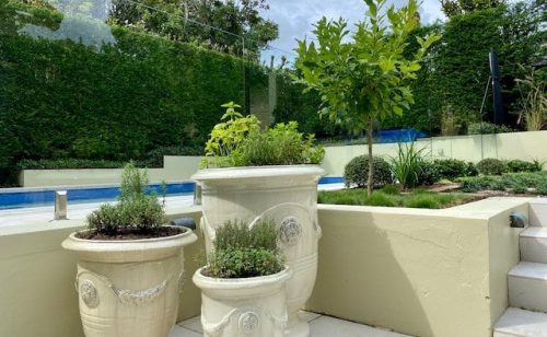 landscape design North Shore Sydney