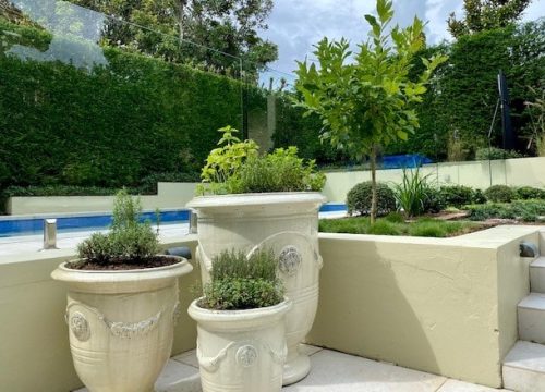 landscape design North Shore Sydney