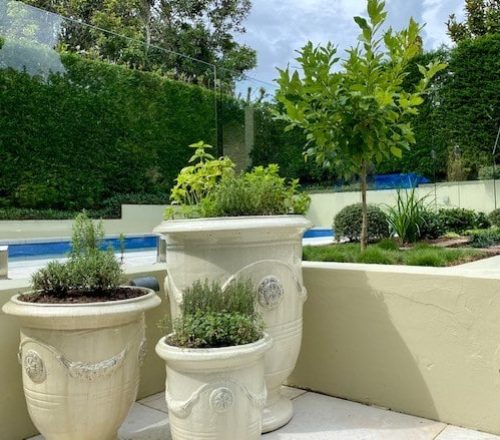 landscape design North Shore Sydney