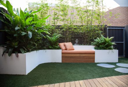 garden design queens park eastern suburbs