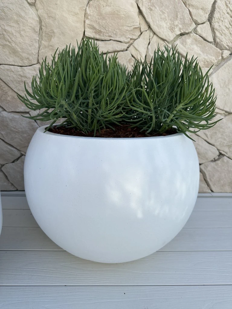 Globe outdoor garden pot Sydney