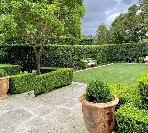 Landscape Design Hunters Hill