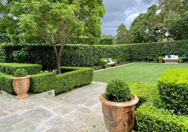 Landscape Design Hunters Hill