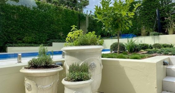 Landscape design Longueville Sydney