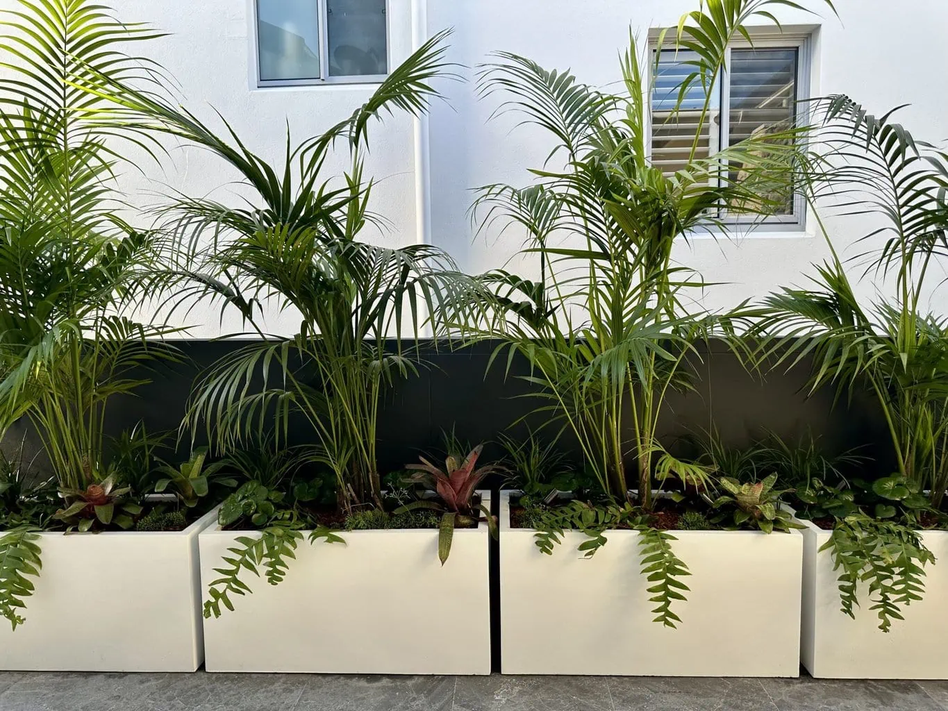 Planter troughs Sydney