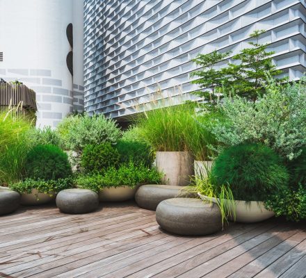 Rooftop Garden Design Sydney