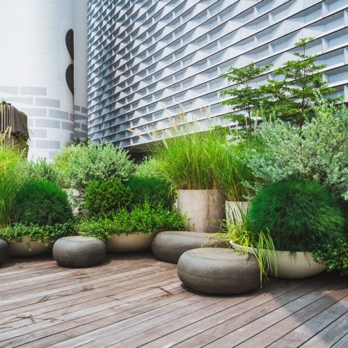 Rooftop Garden Design Sydney