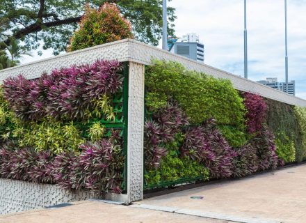 Vertical garden commercial