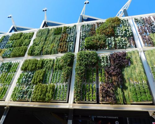 Vertical gardens