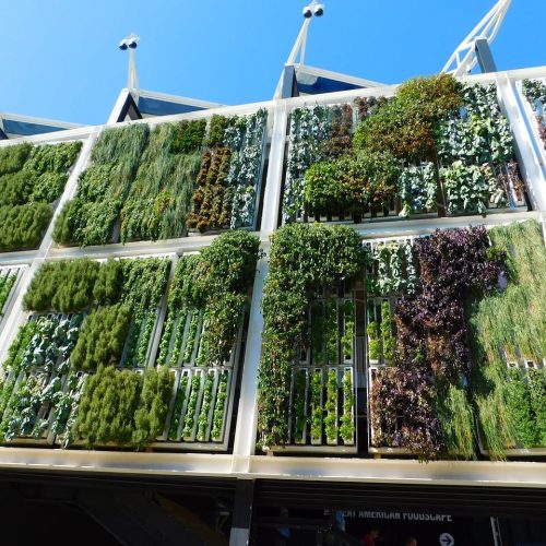 Vertical gardens